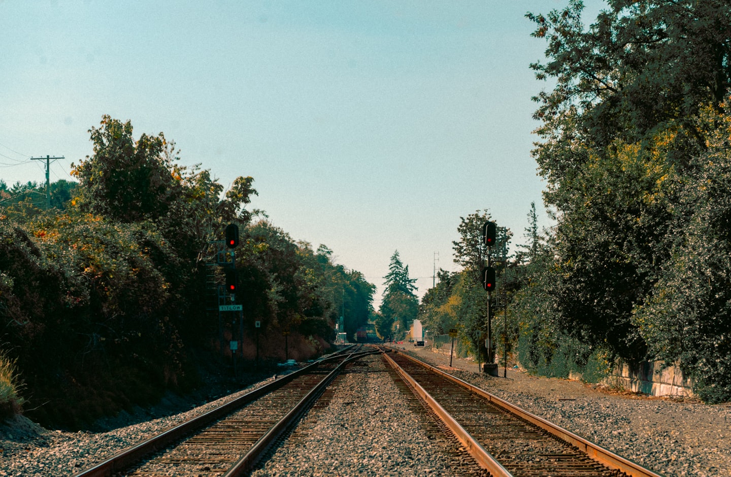 Eisenbahnschienen führen durch einen Wald mit Signallichtern.